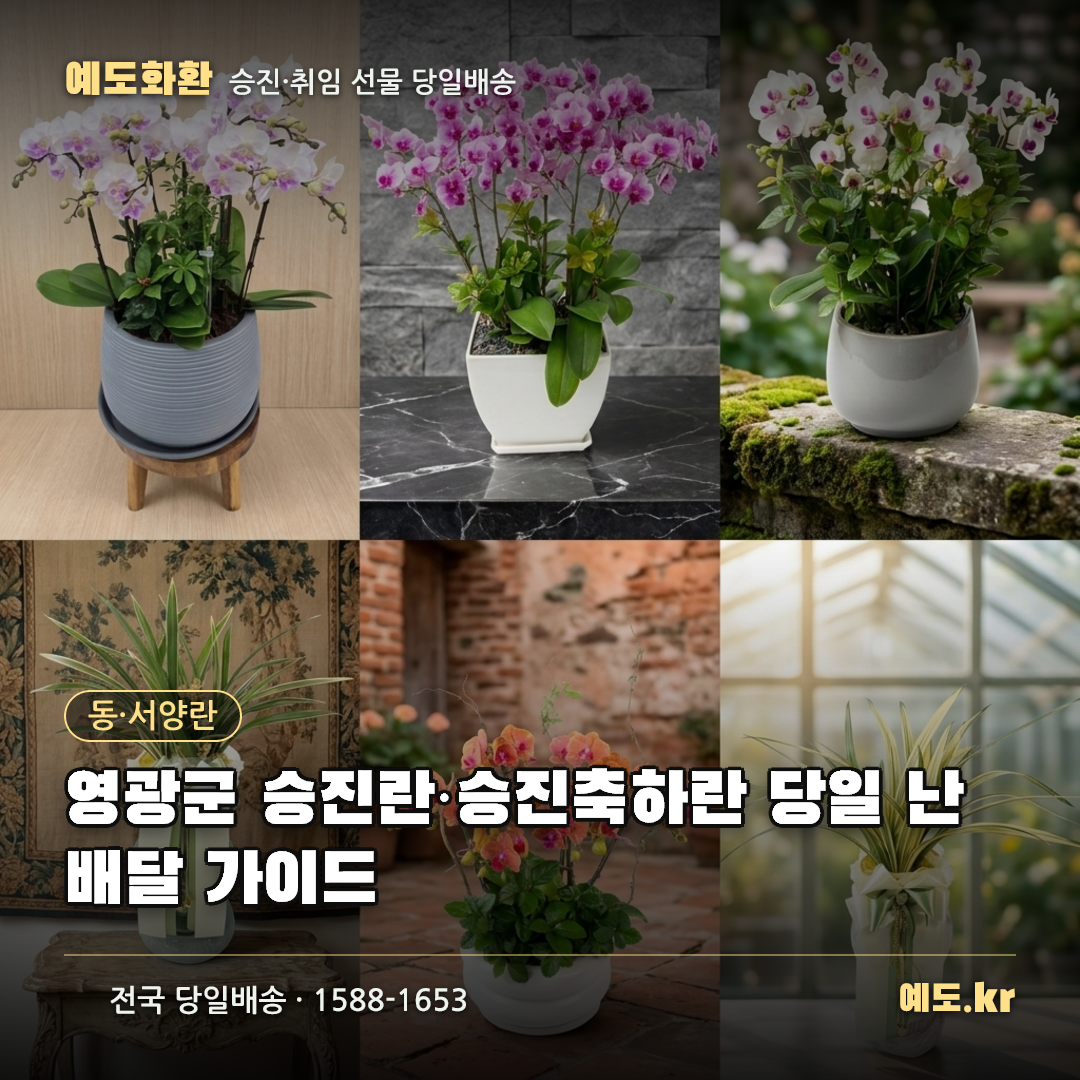영광군 승진란·승진축하란 당일 난배달 가이드 - 예도화환