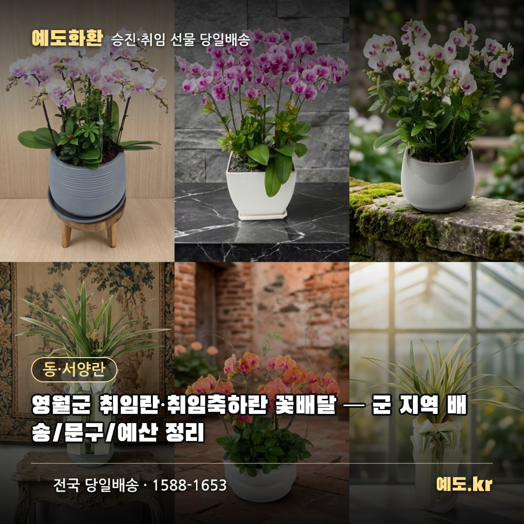 영월군 취임란·취임축하란 꽃배달 — 군 지역 배송/문구/예산 정리 - 예도화환