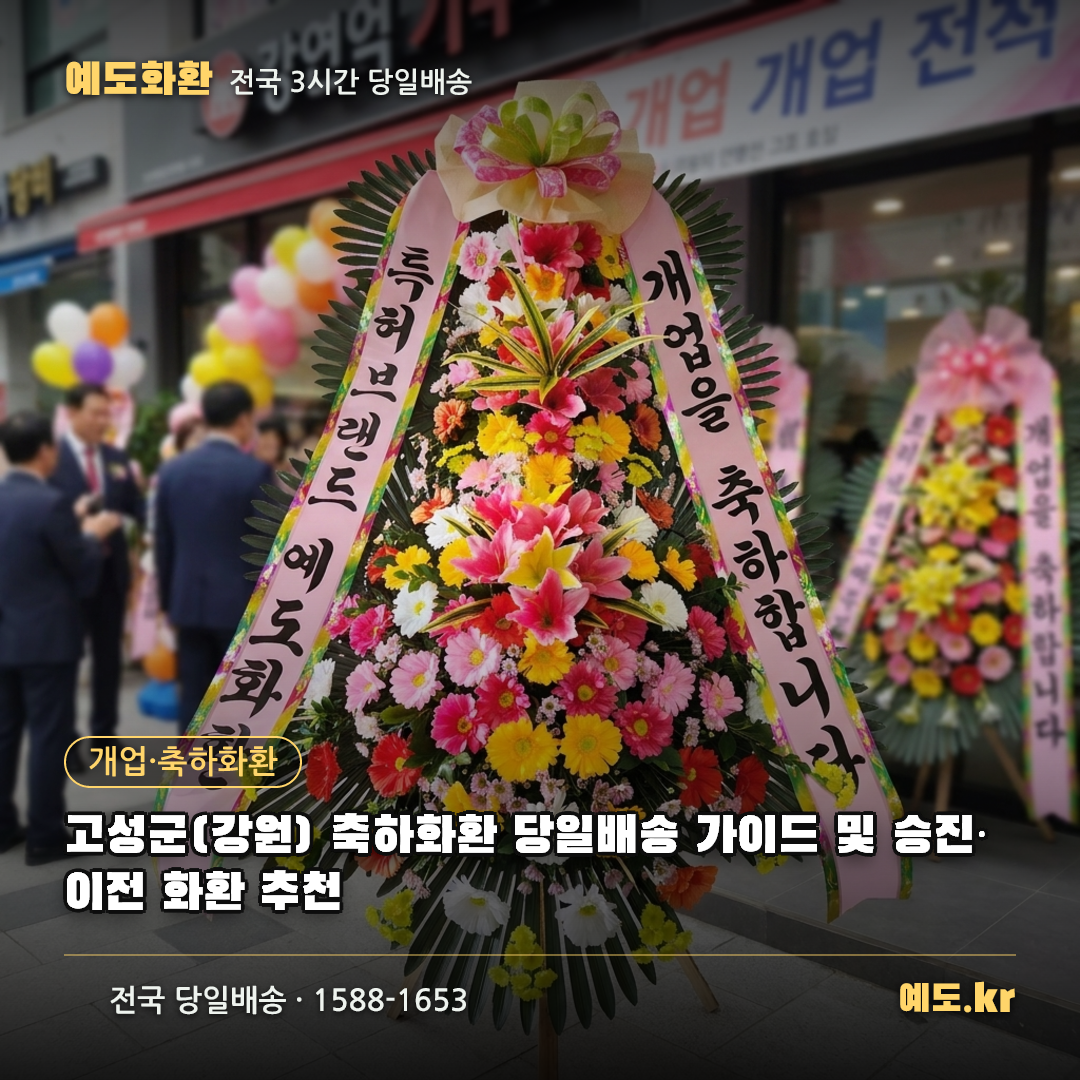 고성군(강원) 축하화환 당일배송 가이드 및 승진·이전 화환 추천 - 예도화환