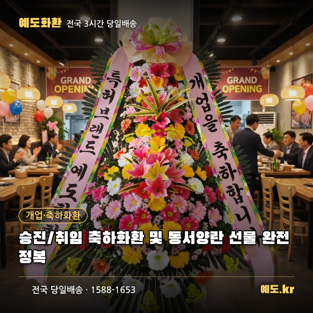 승진/취임 축하화환 및 동서양란 선물 완전 정복 - 예도화환