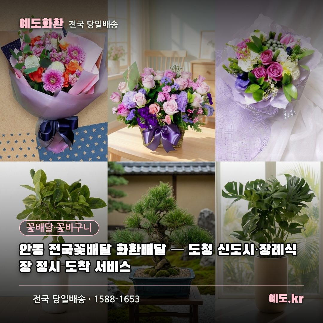 안동 전국꽃배달 화환배달 — 도청 신도시·장례식장 정시 도착 서비스 - 예도화환