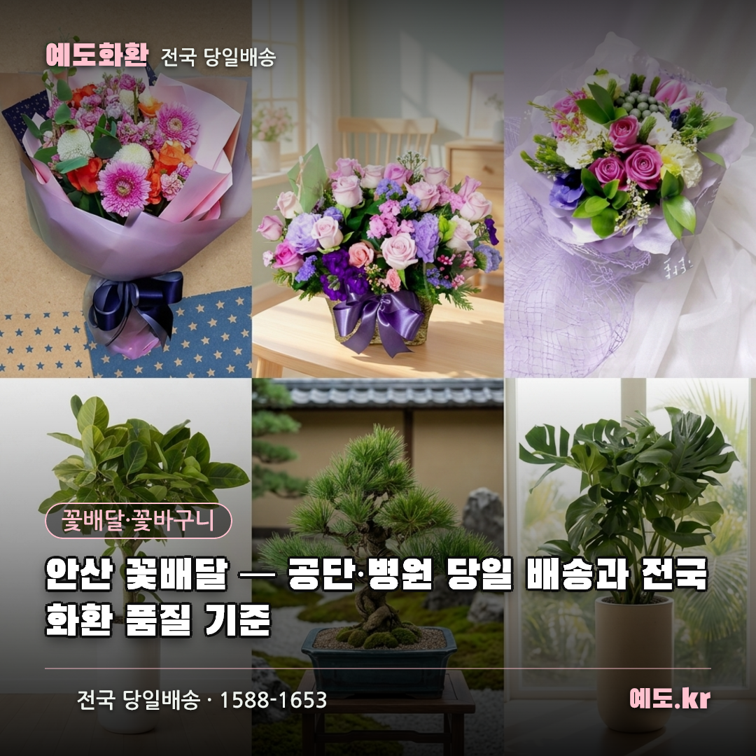 안산 꽃배달 — 공단·병원 당일 배송과 전국화환 품질 기준 - 예도화환