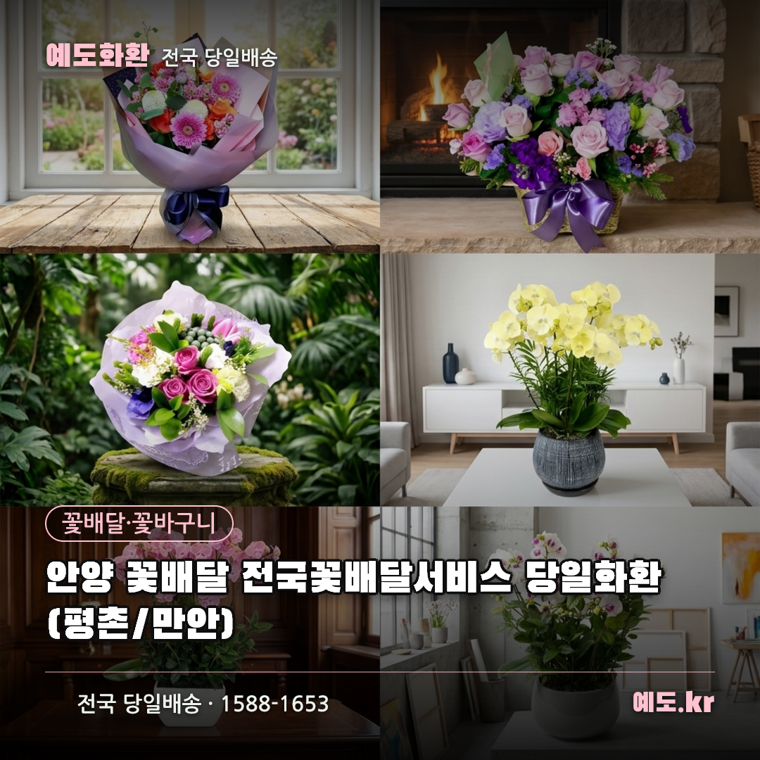 안양 꽃배달 전국꽃배달서비스 당일화환 (평촌/만안) - 예도화환