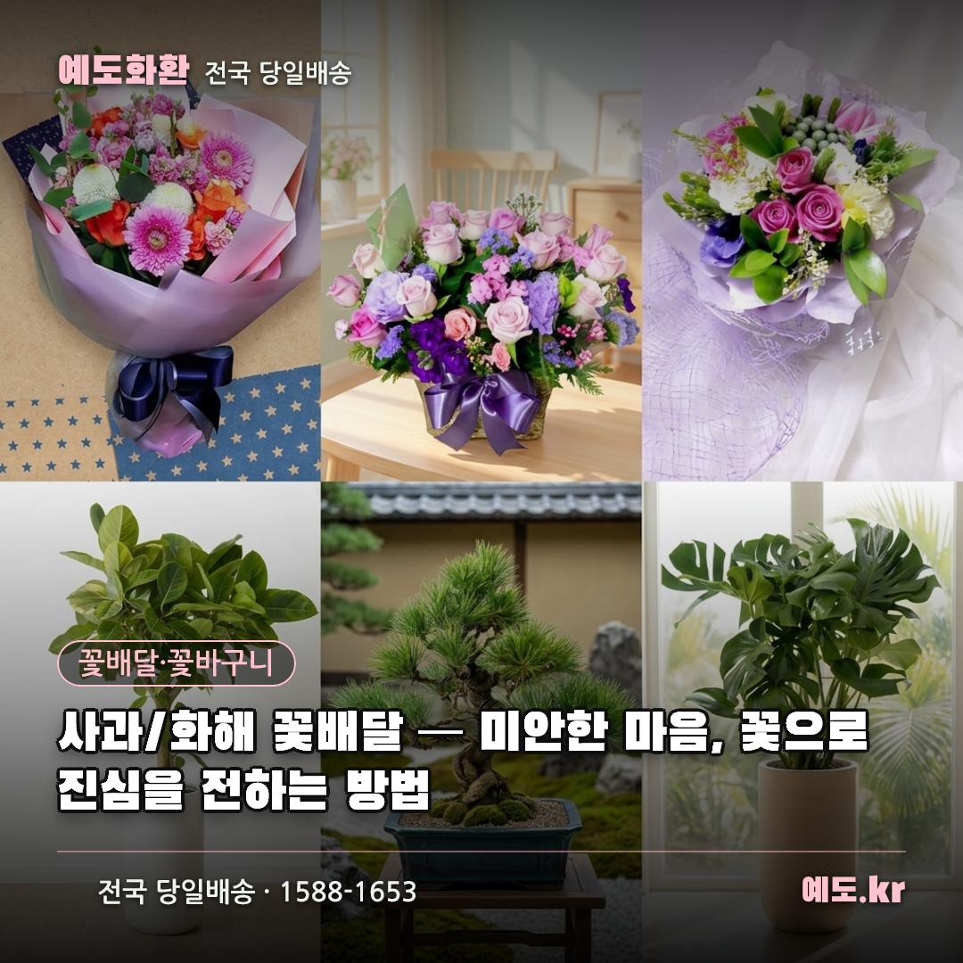 사과/화해 꽃배달 — 미안한 마음, 꽃으로 진심을 전하는 방법 - 예도화환