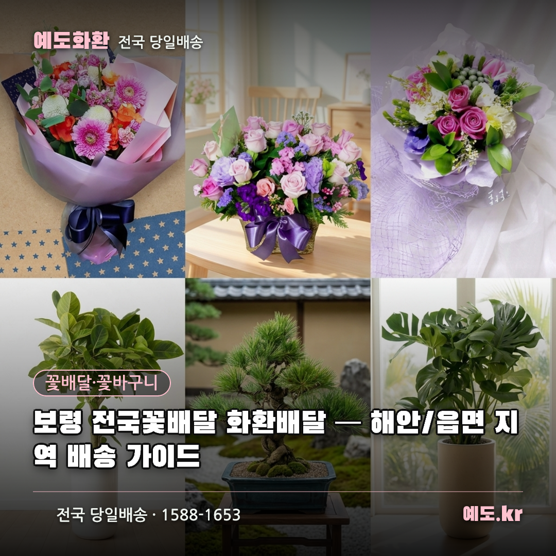 보령 전국꽃배달 화환배달 — 해안/읍면 지역 배송 가이드 - 예도화환