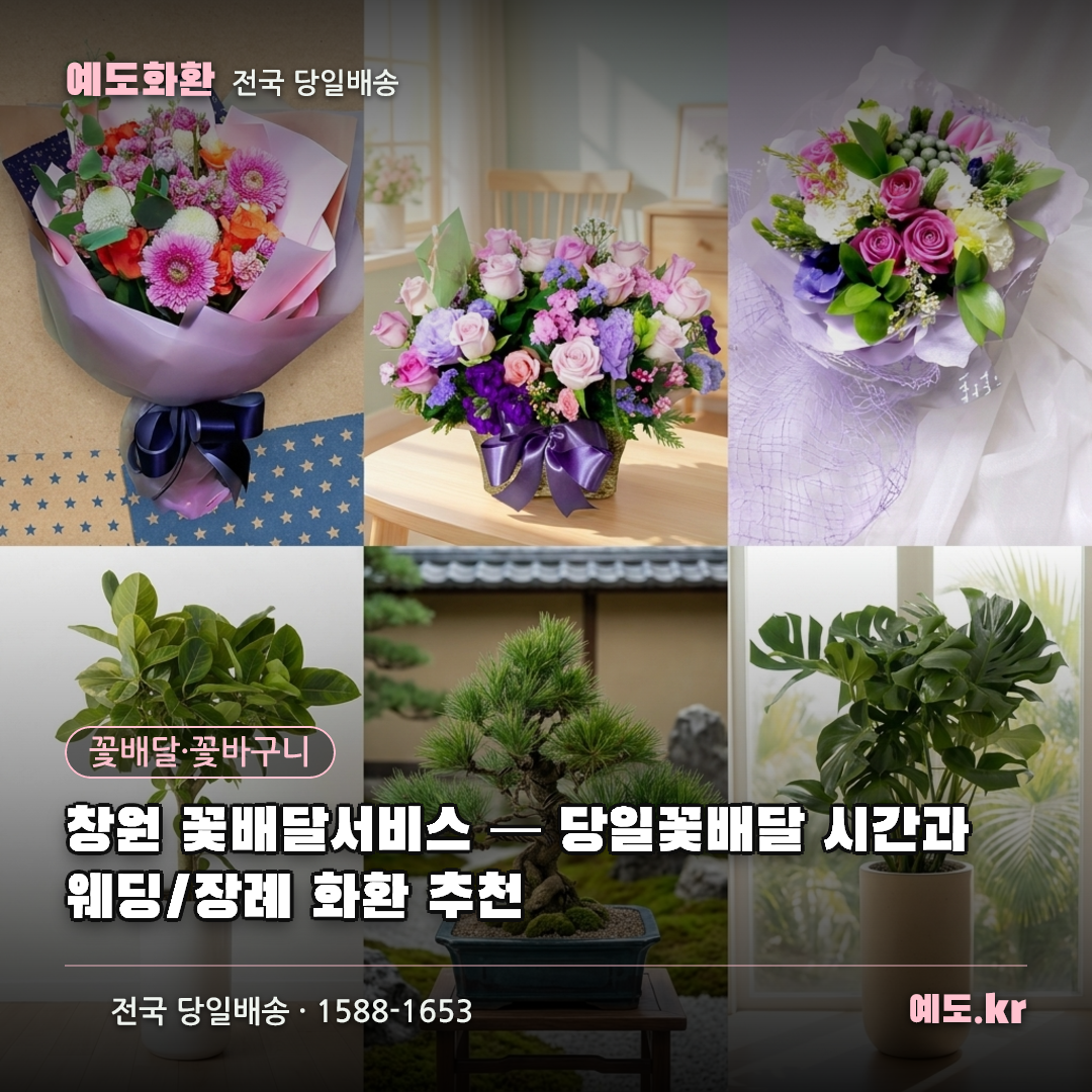 창원 꽃배달서비스 — 당일꽃배달 시간과 웨딩/장례 화환 추천 - 예도화환
