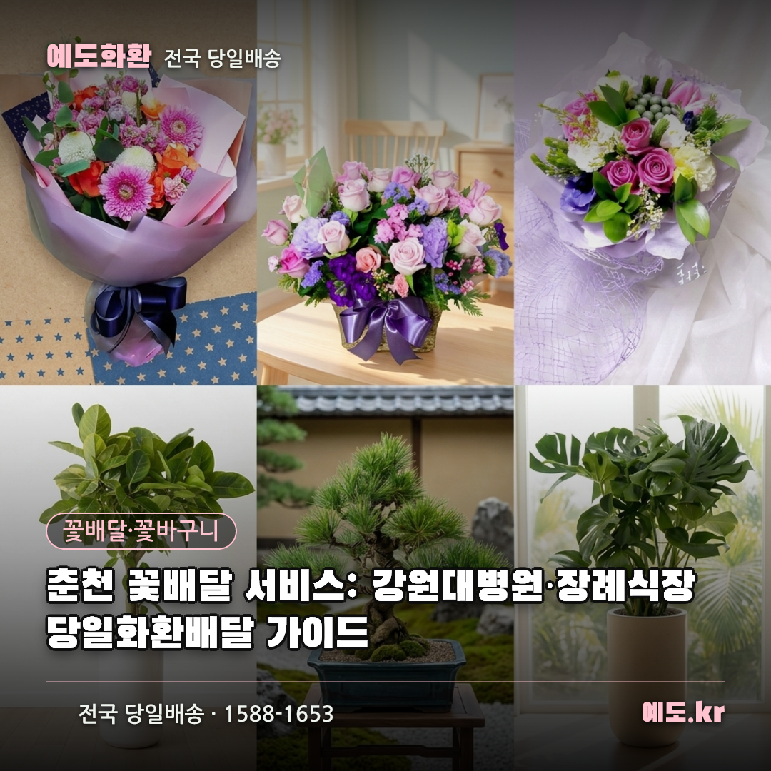 춘천 꽃배달 서비스: 강원대병원·장례식장 당일화환배달 가이드 - 예도화환