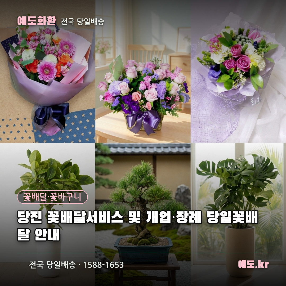 당진 꽃배달서비스 및 개업·장례 당일꽃배달 안내 - 예도화환