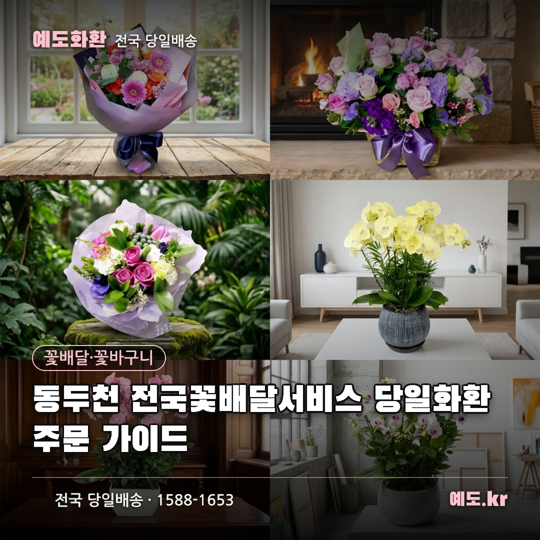동두천 전국꽃배달서비스 당일화환 주문 가이드 - 예도화환