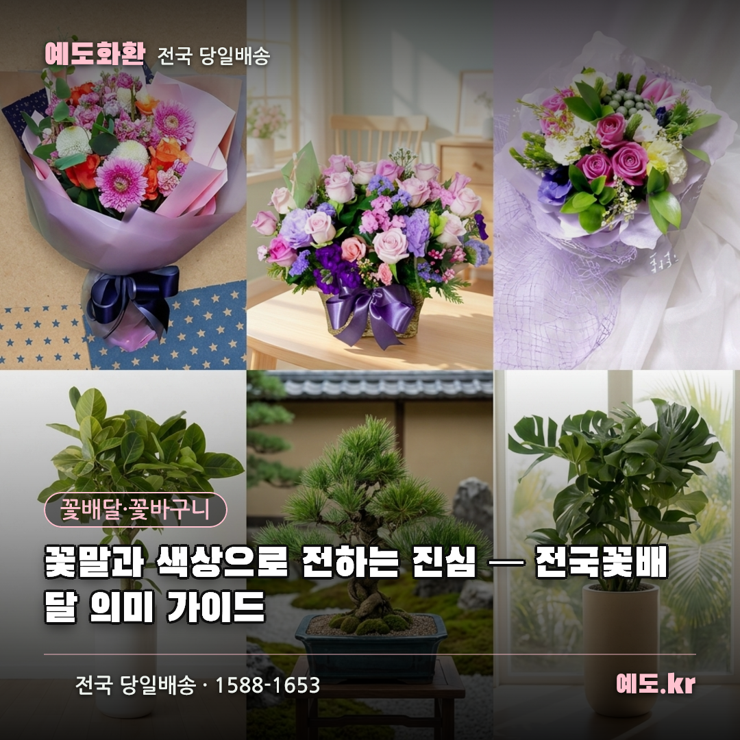 꽃말과 색상으로 전하는 진심 — 전국꽃배달 의미 가이드 - 예도화환