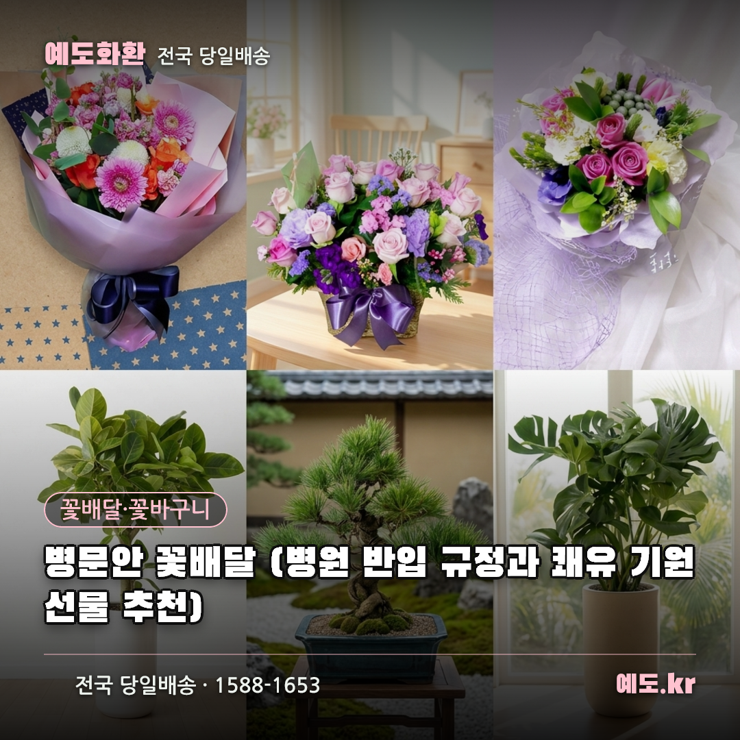 병문안 꽃배달 (병원 반입 규정과 쾌유 기원 선물 추천) - 예도화환