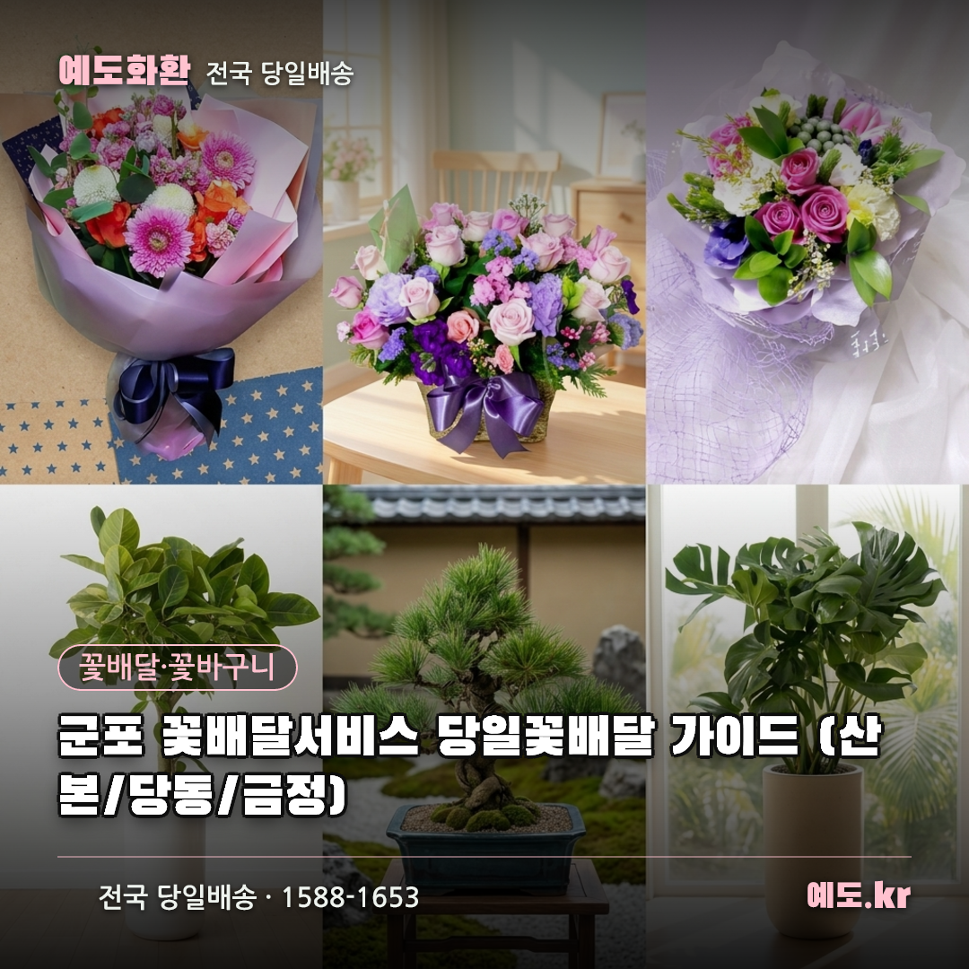 군포 꽃배달서비스 당일꽃배달 가이드 (산본/당동/금정) - 예도화환