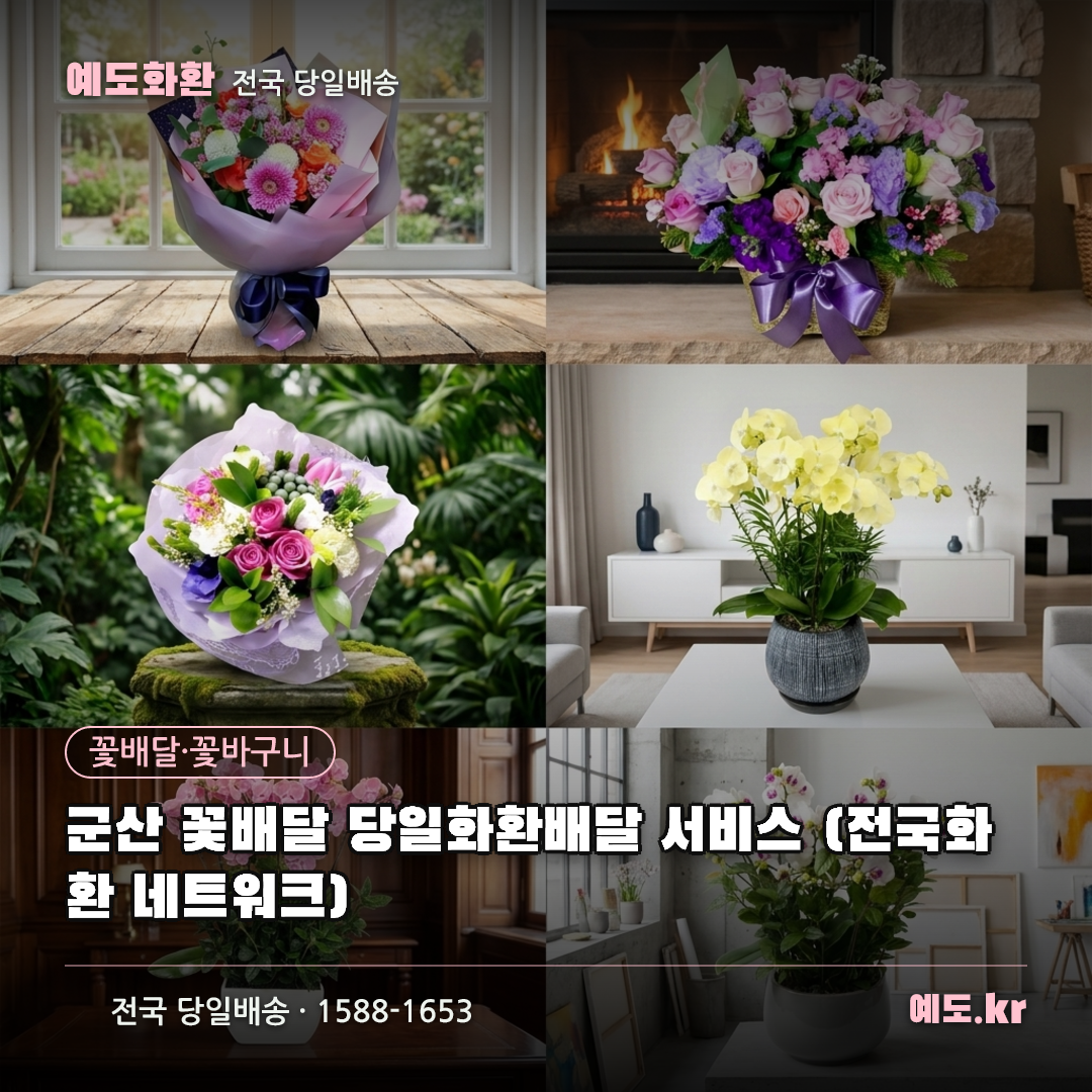 군산 꽃배달 당일화환배달 서비스 (전국화환 네트워크) - 예도화환