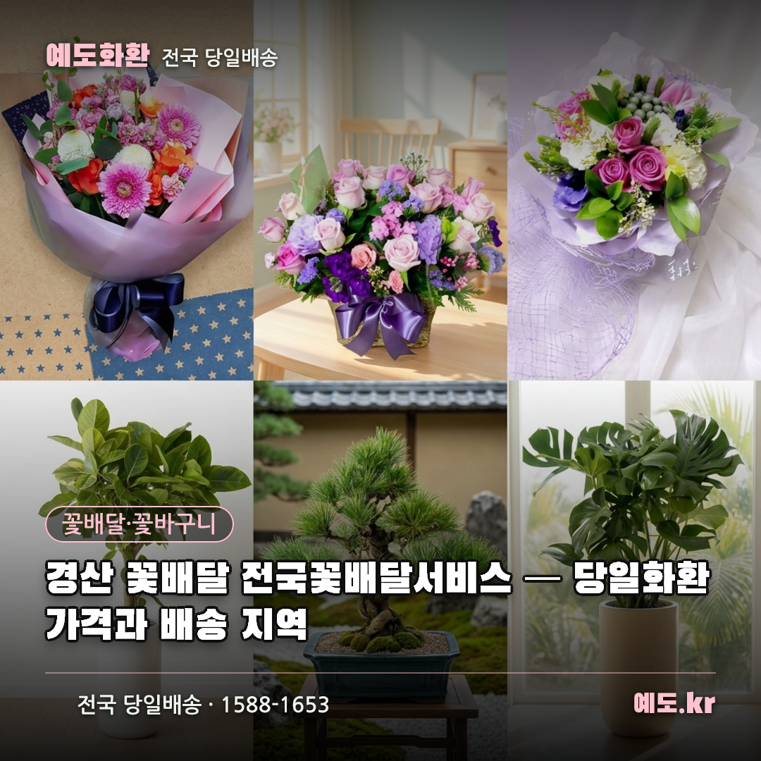 경산 꽃배달 전국꽃배달서비스 — 당일화환 가격과 배송 지역 - 예도화환