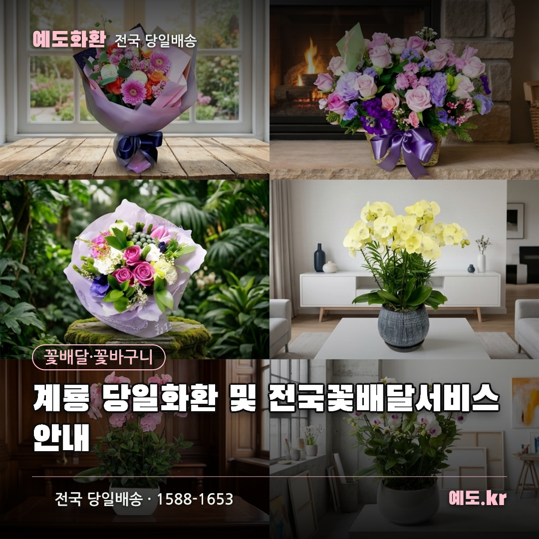 계룡 당일화환 및 전국꽃배달서비스 안내 - 예도화환