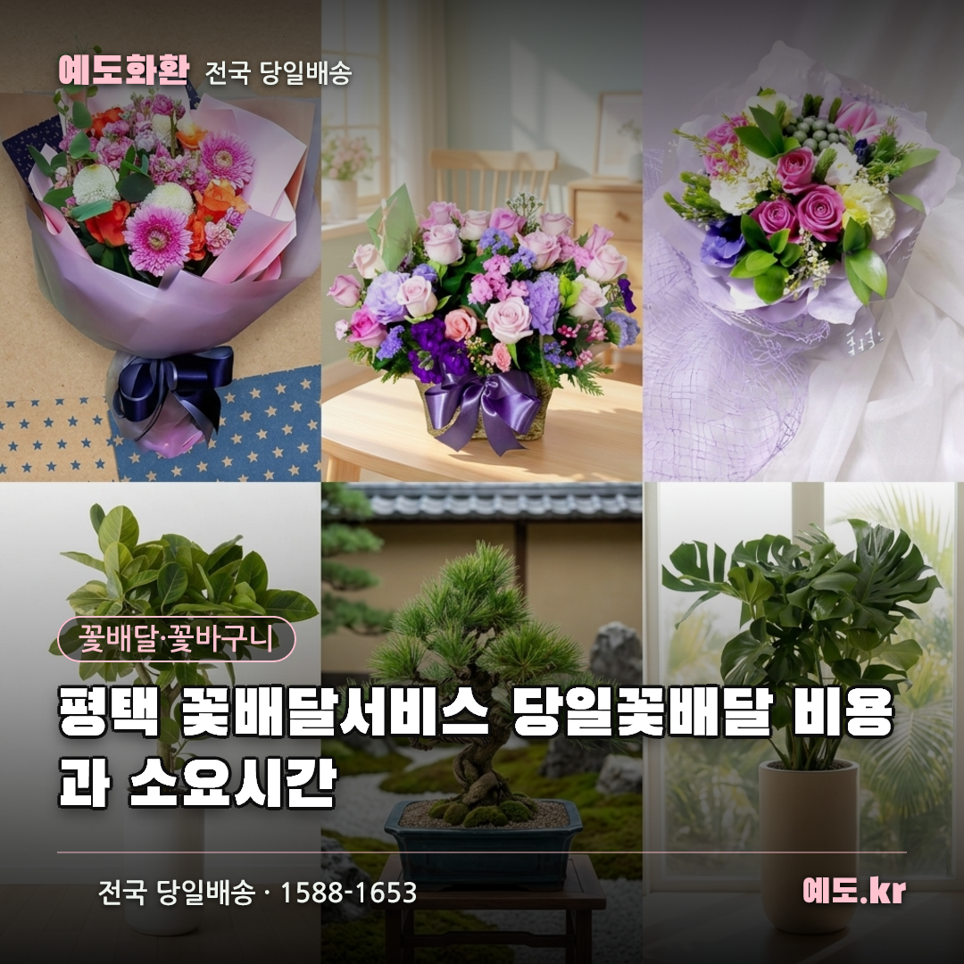 평택 꽃배달서비스 당일꽃배달 비용과 소요시간 - 예도화환