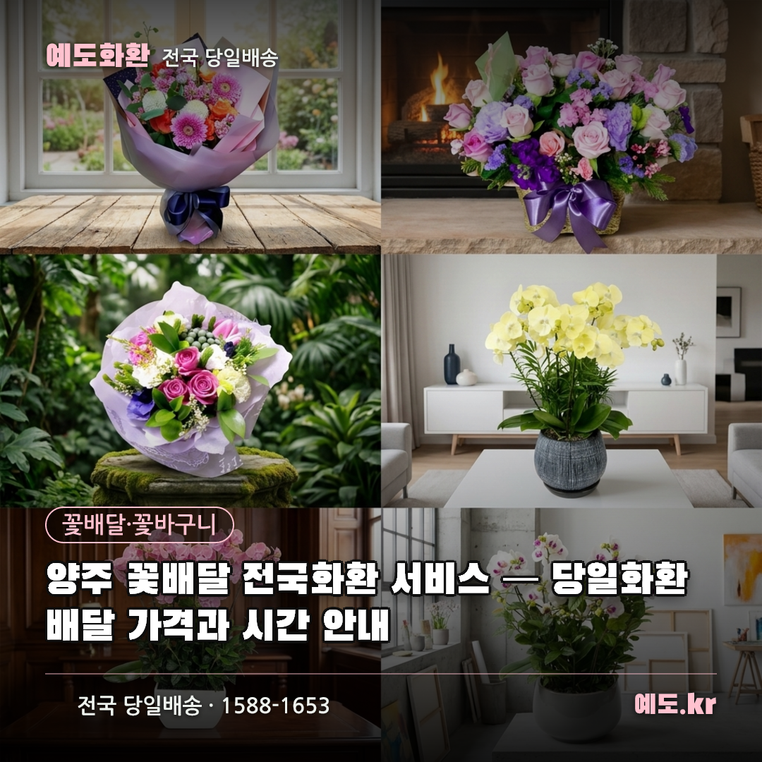 양주 꽃배달 전국화환 서비스 — 당일화환배달 가격과 시간 안내 - 예도화환