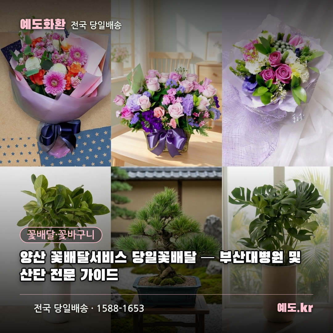 양산 꽃배달서비스 당일꽃배달 — 부산대병원 및 산단 전문 가이드 - 예도화환