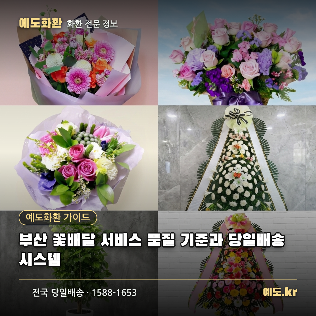 부산 꽃배달 서비스 품질 기준과 당일배송 시스템 - 예도화환