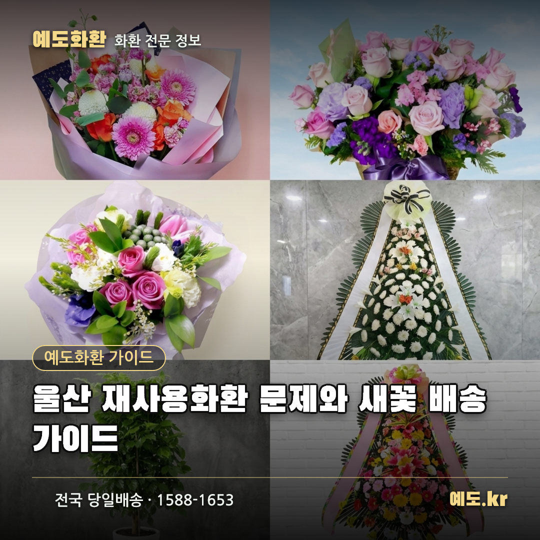 울산 재사용화환 문제와 새꽃 배송 가이드 - 예도화환