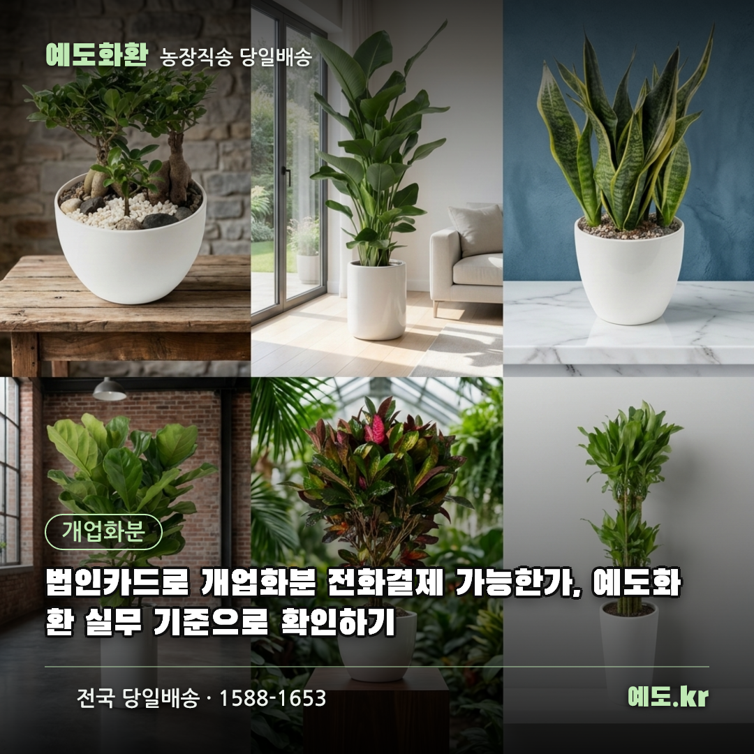 법인카드로 개업화분 전화결제 가능한가, 예도화환 실무 기준으로 확인하기 - 예도화환