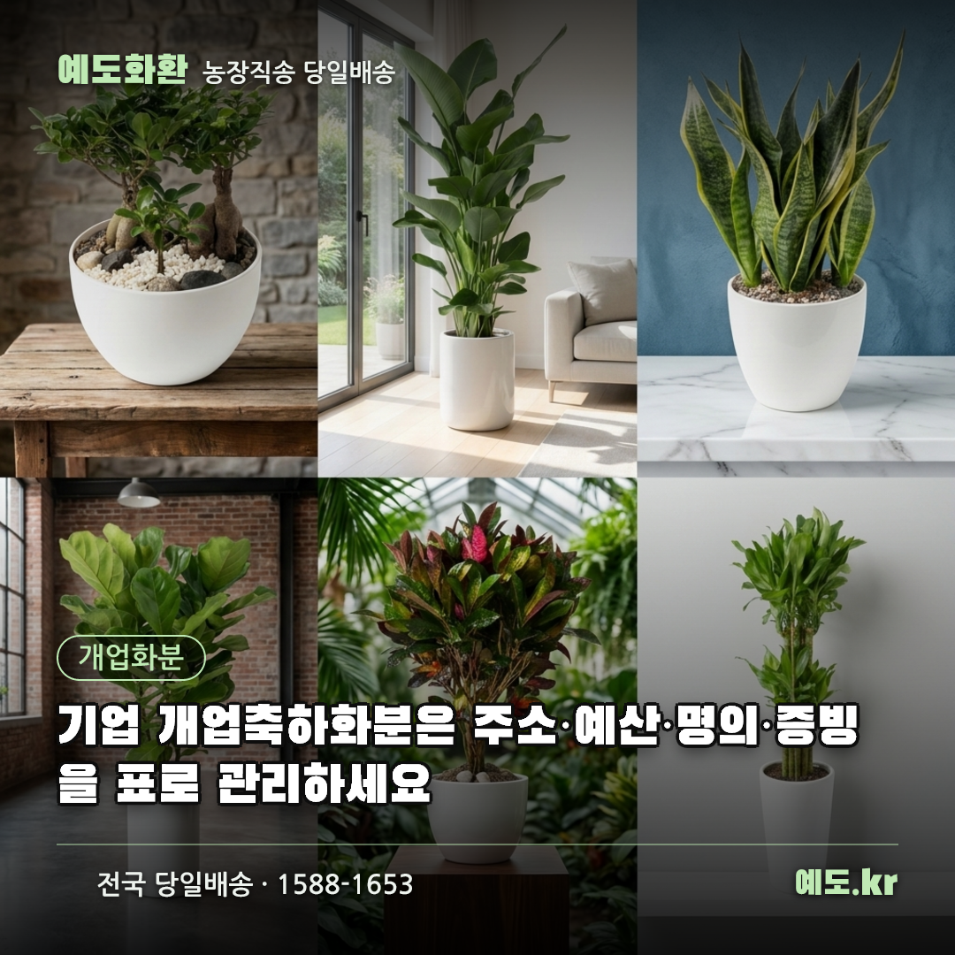 기업 개업축하화분은 주소·예산·명의·증빙을 표로 관리하세요 - 예도화환