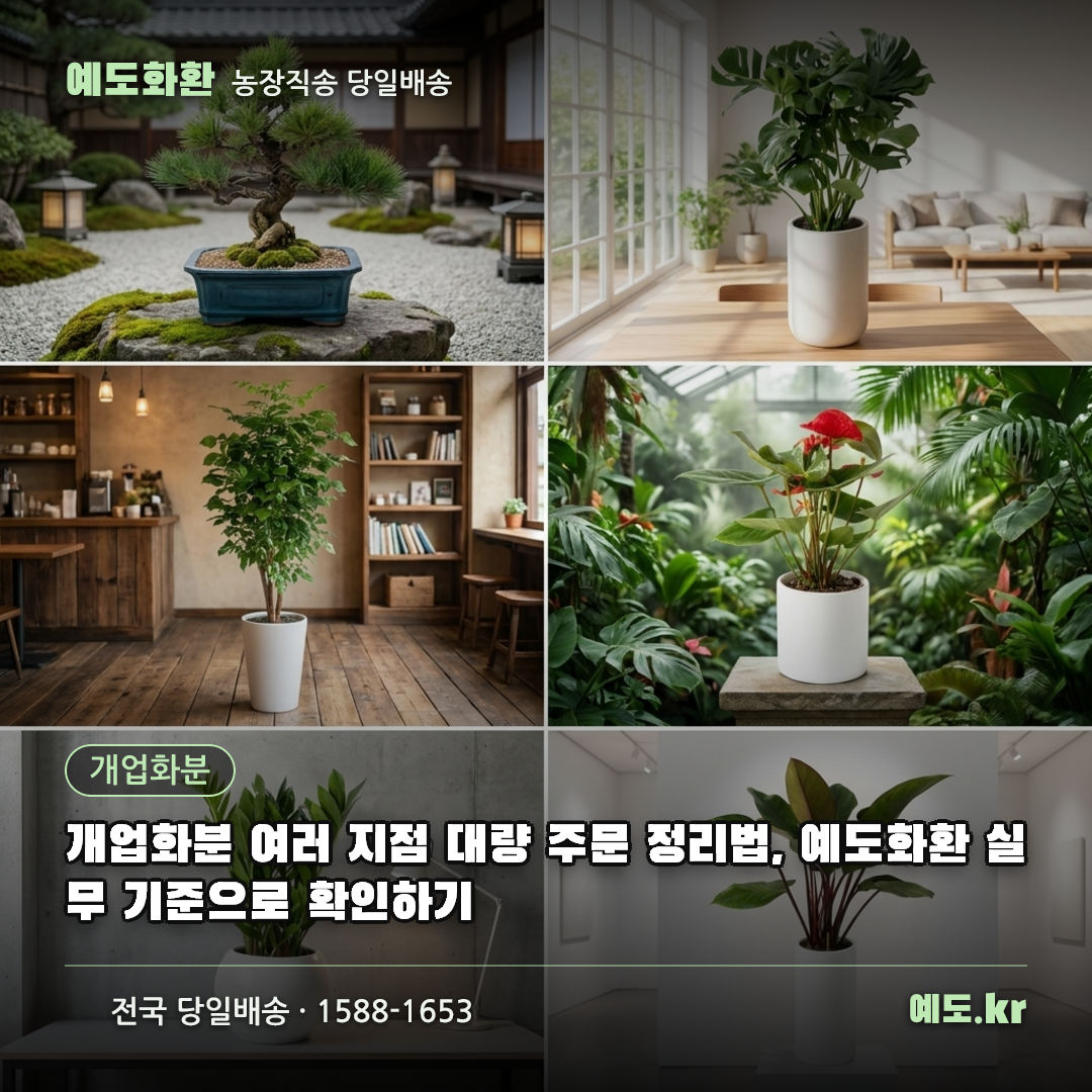 개업화분 여러 지점 대량 주문 정리법, 예도화환 실무 기준으로 확인하기 - 예도화환