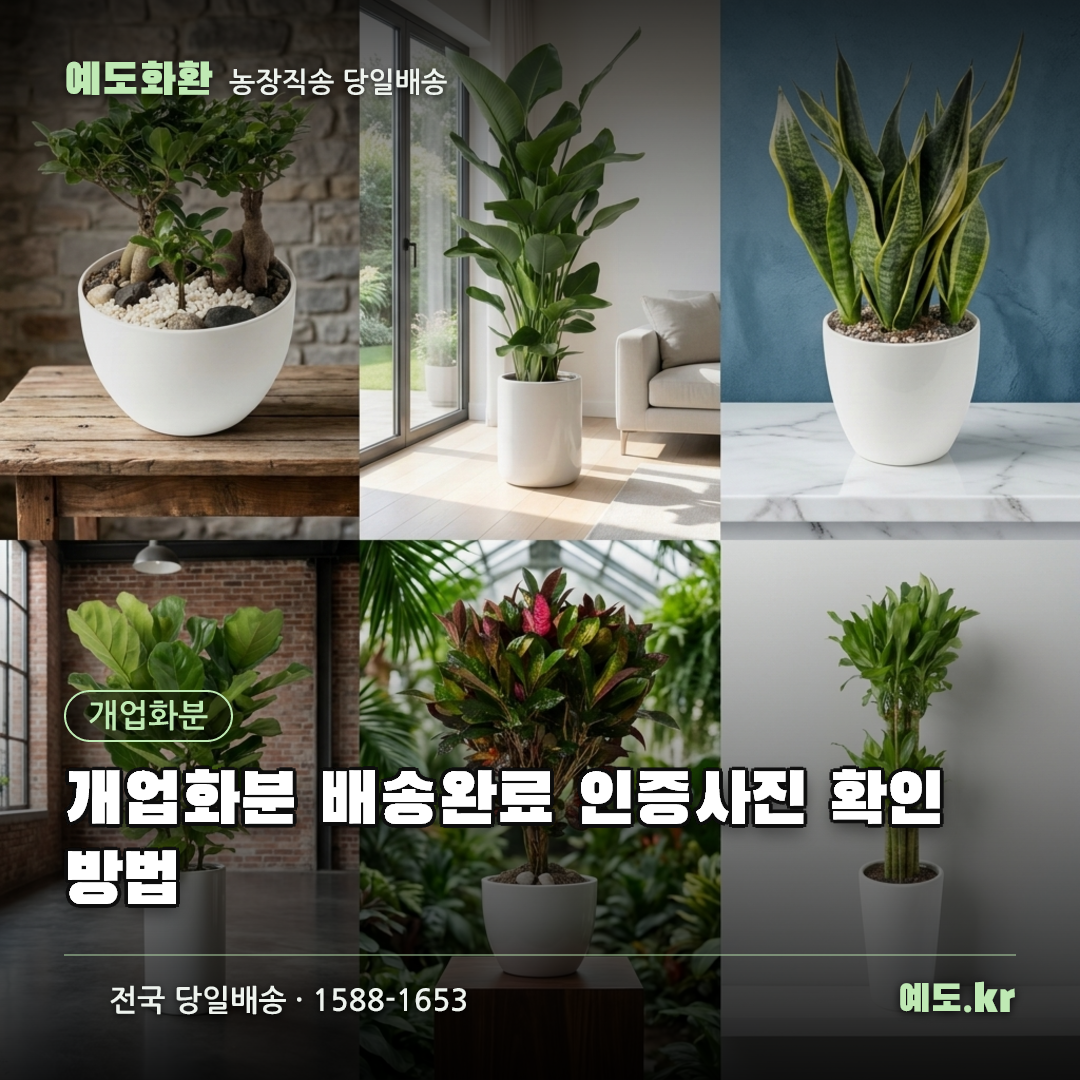 개업화분 배송완료 인증사진 확인 방법 - 예도화환
