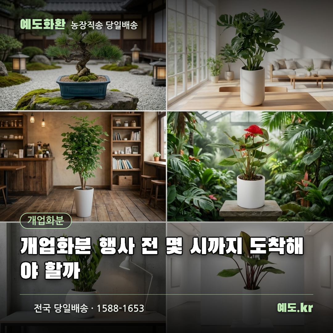 개업화분 행사 전 몇 시까지 도착해야 할까 - 예도화환