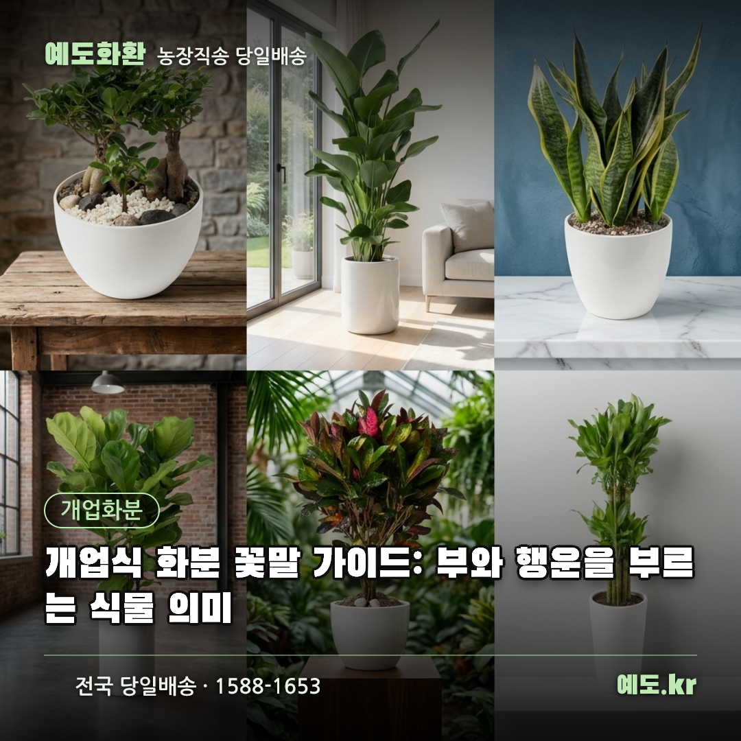 개업식 화분 꽃말 가이드: 부와 행운을 부르는 식물 의미 - 예도화환