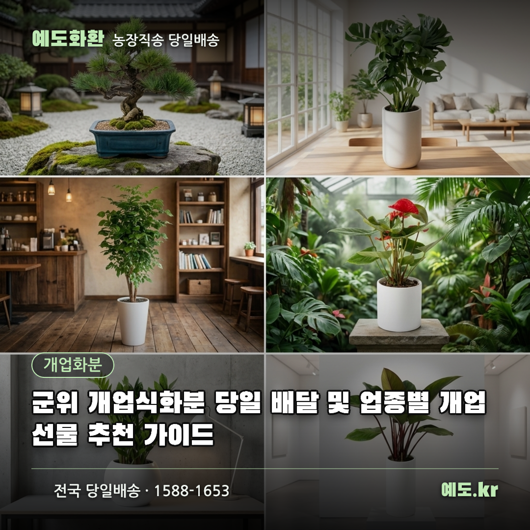 군위 개업식화분 당일 배달 및 업종별 개업선물 추천 가이드 - 예도화환