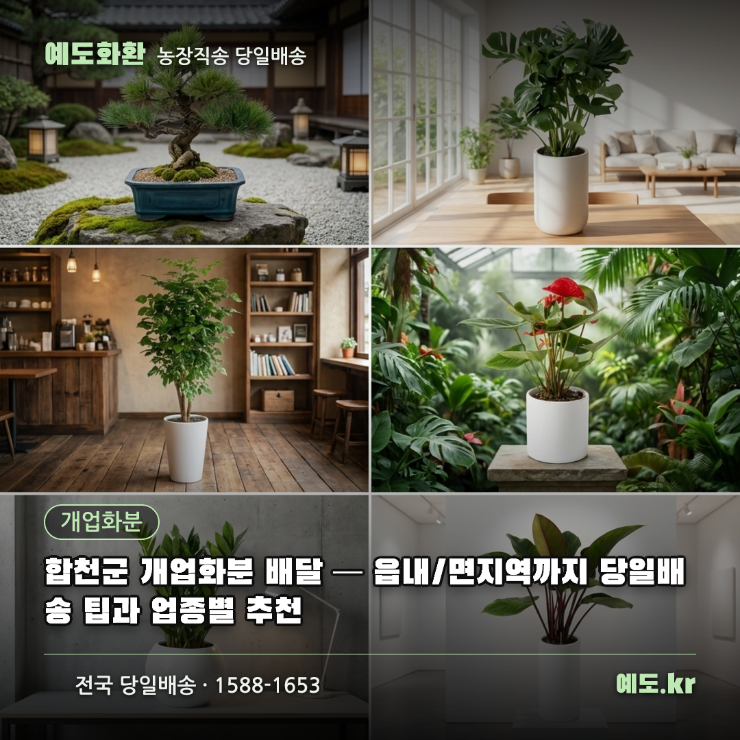 합천군 개업화분 배달 — 읍내/면지역까지 당일배송 팁과 업종별 추천 - 예도화환