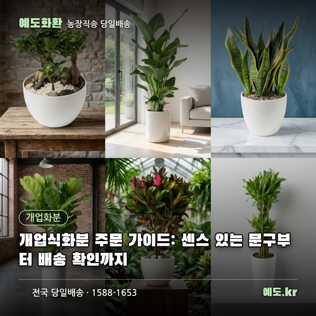개업식화분 주문 가이드: 센스 있는 문구부터 배송 확인까지 - 예도화환