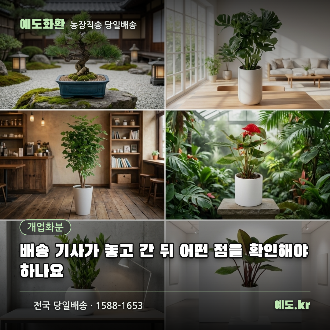 배송 기사가 놓고 간 뒤 어떤 점을 확인해야 하나요 - 예도화환