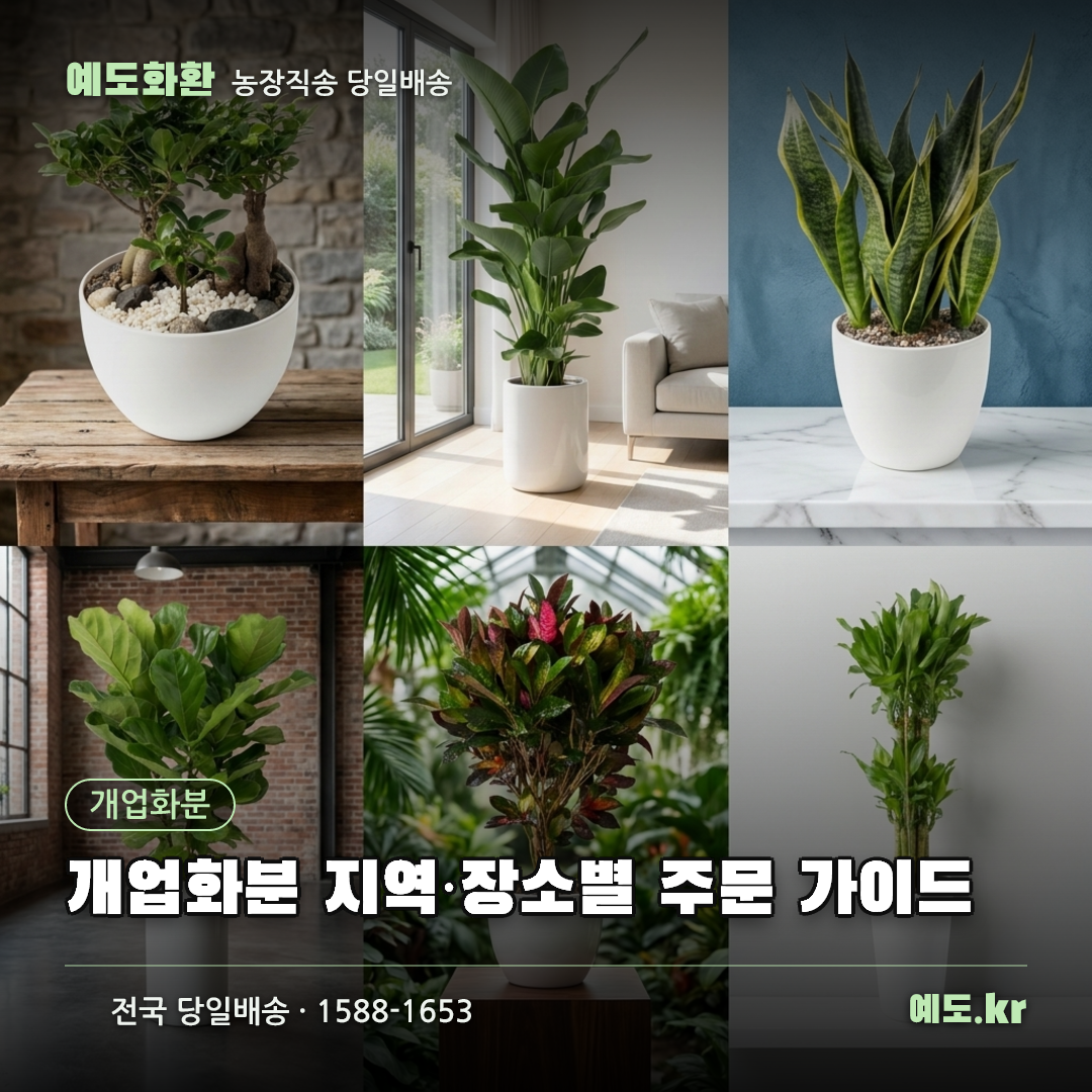 개업화분 지역·장소별 주문 가이드 - 예도화환