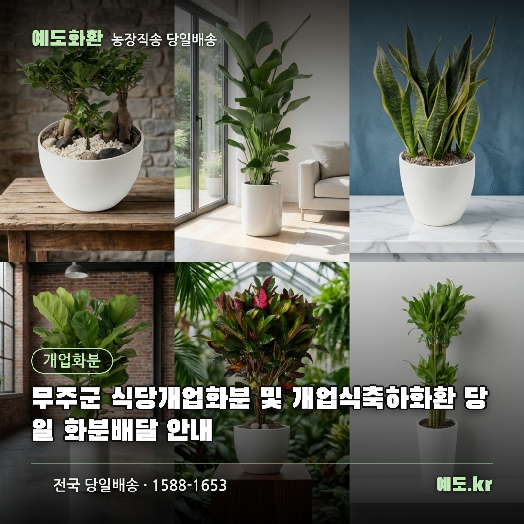 무주군 식당개업화분 및 개업식축하화환 당일 화분배달 안내 - 예도화환