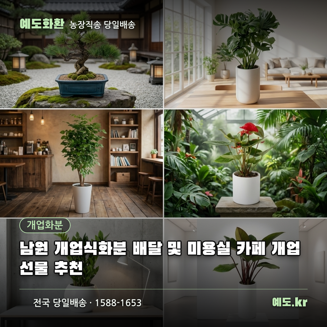 남원 개업식화분 배달 및 미용실 카페 개업선물 추천 - 예도화환