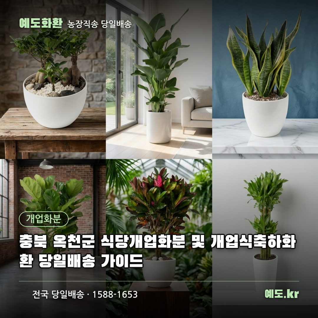 충북 옥천군 식당개업화분 및 개업식축하화환 당일배송 가이드 - 예도화환
