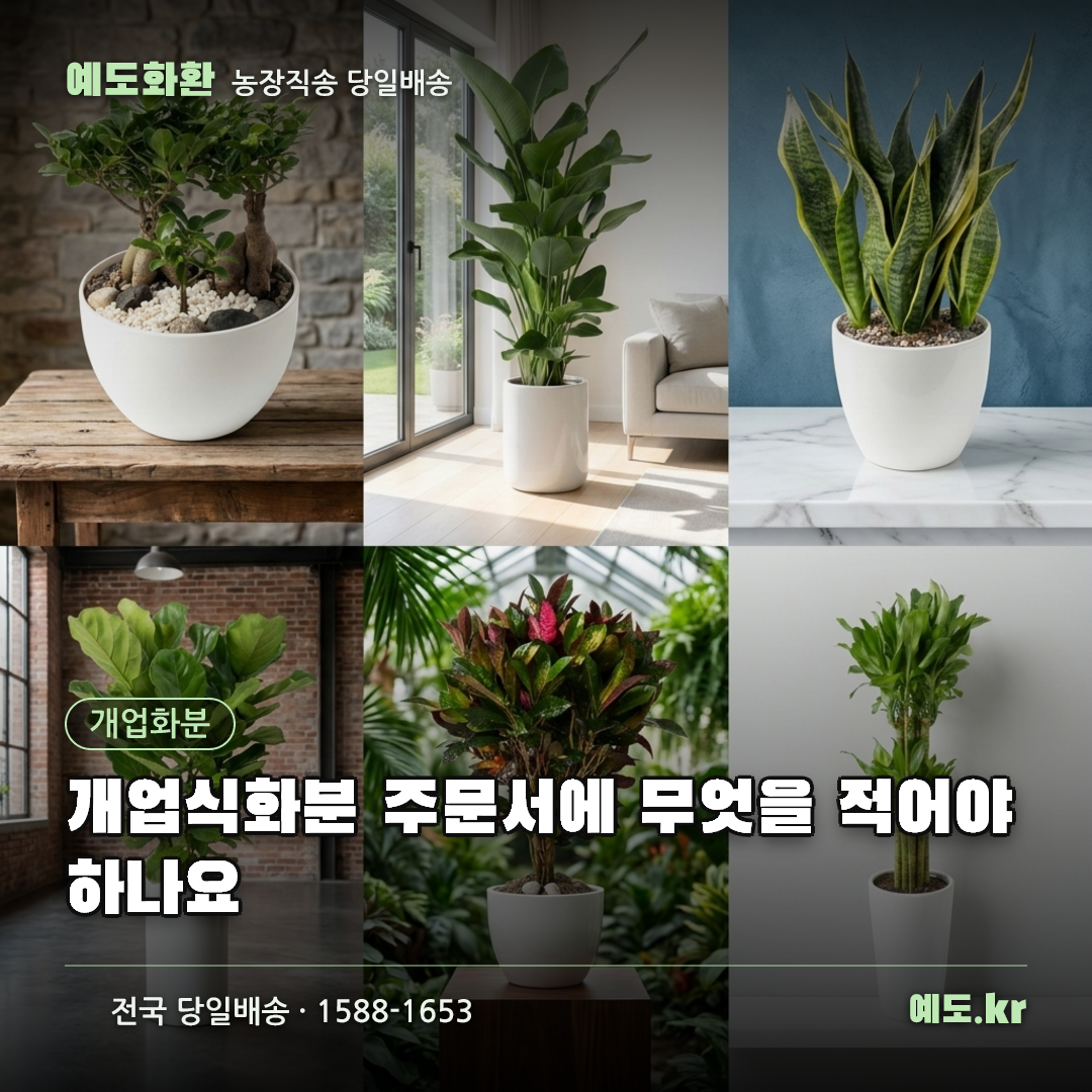 개업식화분 주문서에 무엇을 적어야 하나요 - 예도화환