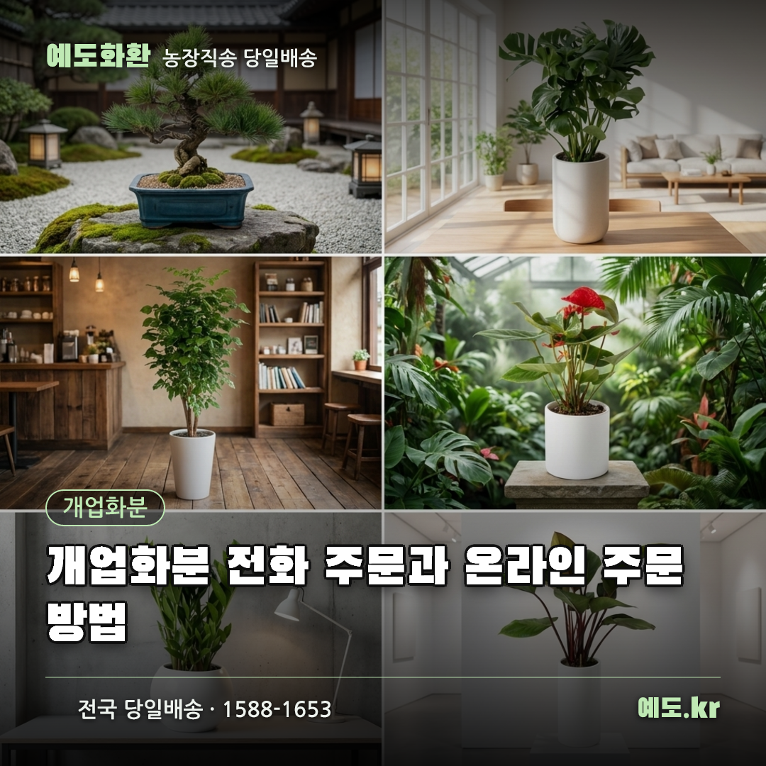 개업화분 전화 주문과 온라인 주문 방법 - 예도화환