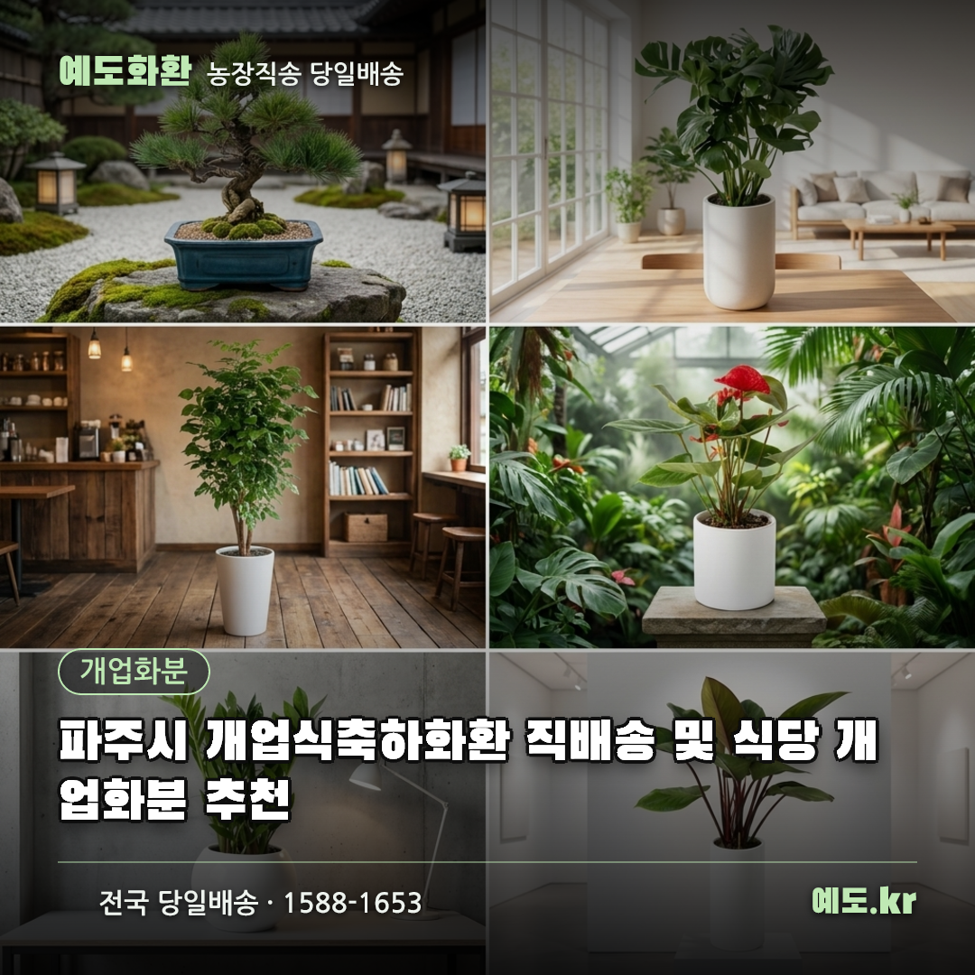 파주시 개업식축하화환 직배송 및 식당 개업화분 추천 - 예도화환