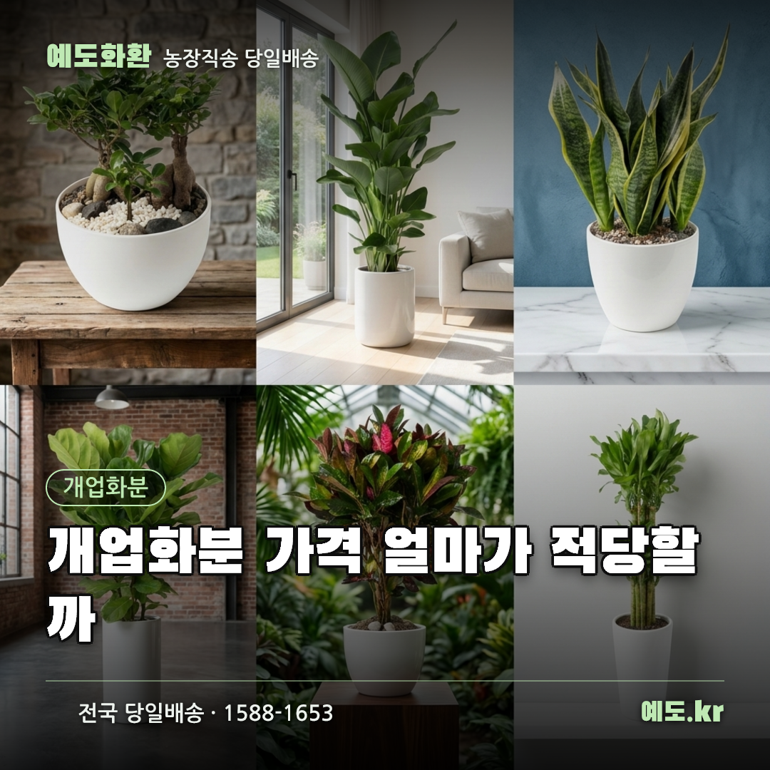 개업화분 가격 얼마가 적당할까 - 예도화환