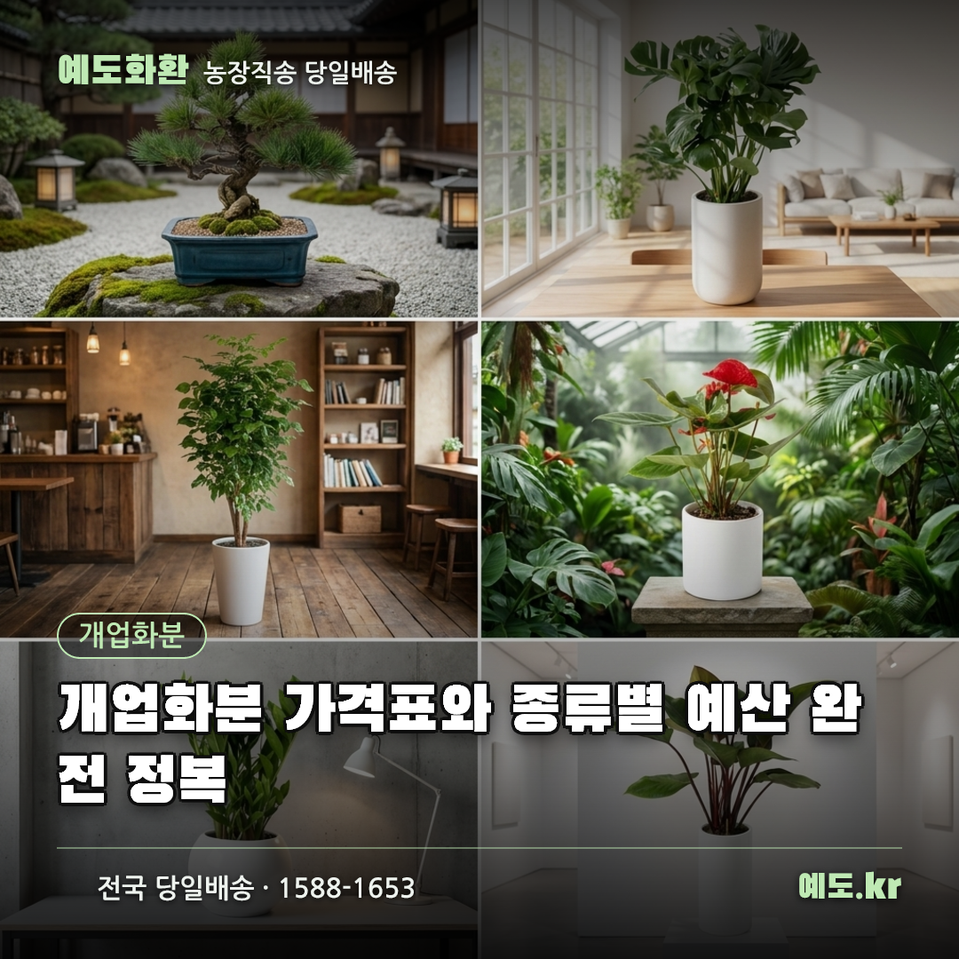 개업화분 가격표와 종류별 예산 완전 정복 - 예도화환