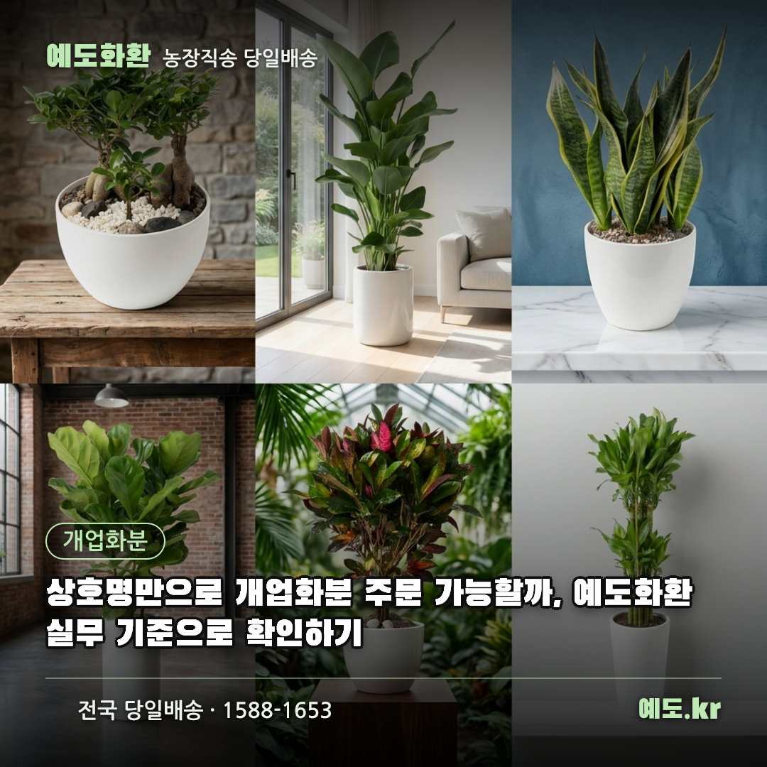 상호명만으로 개업화분 주문 가능할까, 예도화환 실무 기준으로 확인하기 - 예도화환