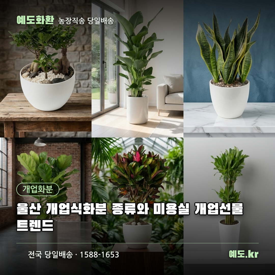 울산 개업식화분 종류와 미용실 개업선물 트렌드 - 예도화환