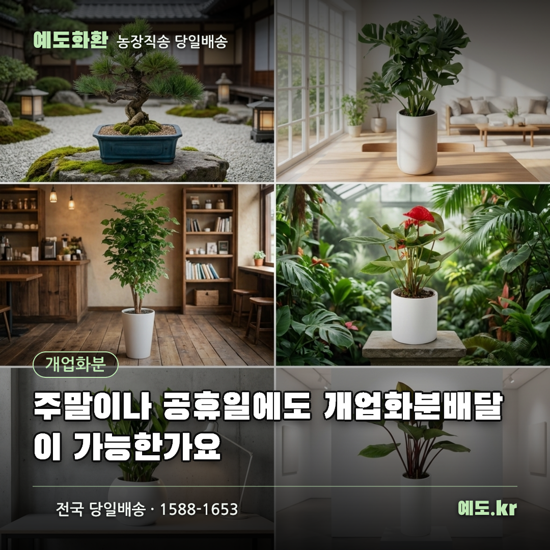 주말이나 공휴일에도 개업화분배달이 가능한가요 - 예도화환