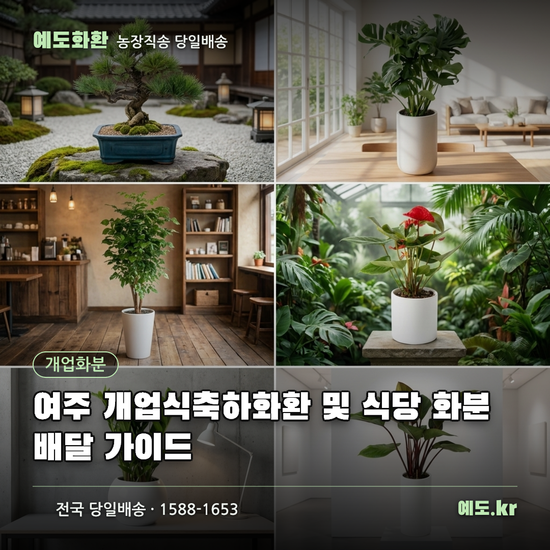 여주 개업식축하화환 및 식당 화분배달 가이드 - 예도화환
