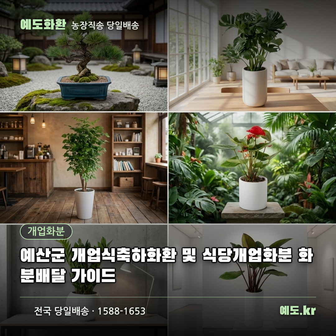 예산군 개업식축하화환 및 식당개업화분 화분배달 가이드 - 예도화환