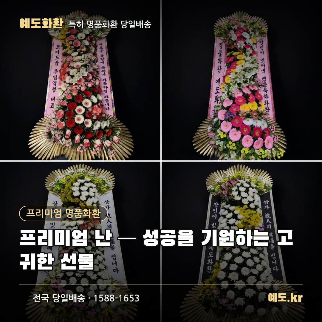 프리미엄 난 — 성공을 기원하는 고귀한 선물 - 예도화환