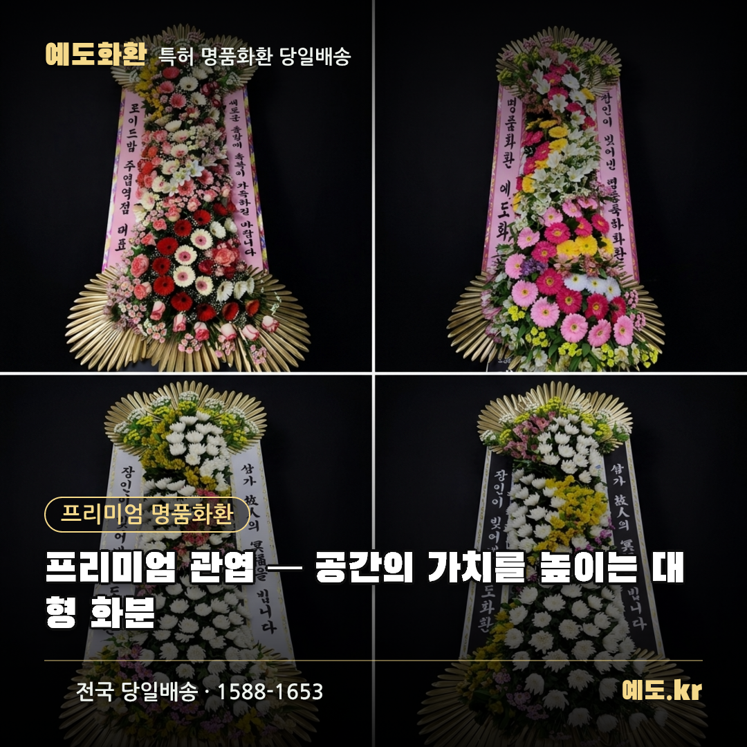 프리미엄 관엽 — 공간의 가치를 높이는 대형 화분 - 예도화환